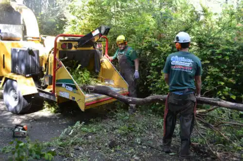 tree services Sitka